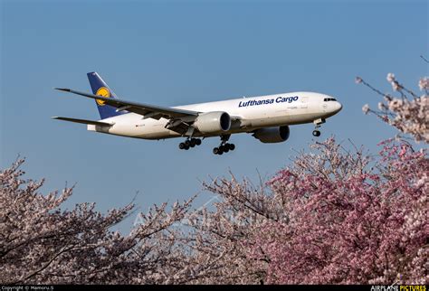 D Alfb Lufthansa Cargo Boeing 777f At Tokyo Narita Intl Photo Id