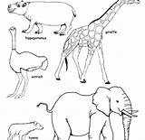 Coloring Animals Savanna Pages African Color Grassland Printable Getcolorings Getdrawings Colorings sketch template