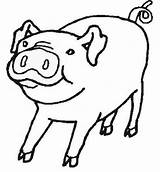 Pig Coloring Farm Pages Blank Clip Animals Animal Colouring Outline Pigs Shapes Kids Cut Color Clipart Cliparts Drawings Cow Preschool sketch template