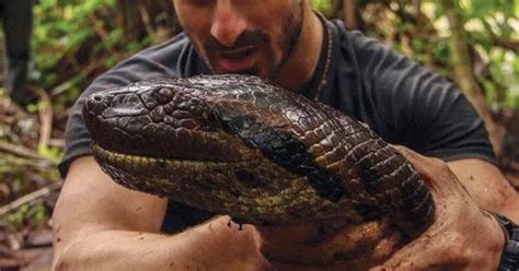New Technology Man Eaten Alive By Anaconda