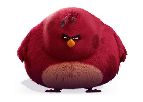 terence big red bird  angry birds clip art library