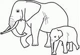 Coloring Animal Pages Endangered Animals Info Print Elephant Printable Wild Any Other Colouring Cute sketch template