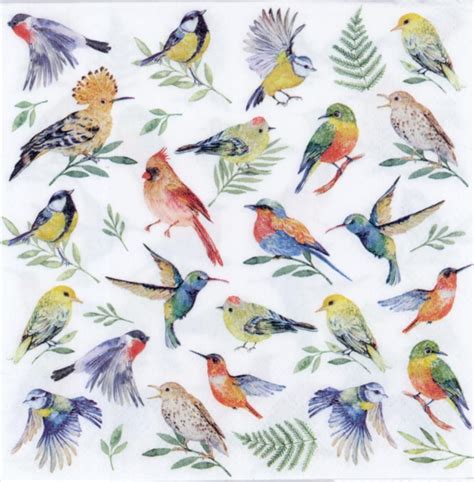 decorative paper napkins  colorful birds paper napkins  decoupage decorative paper