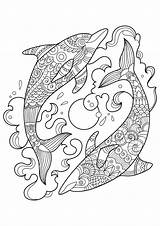 Coloring Dolphins Pages Adult Ocean Pattern Animals Two sketch template
