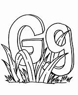 Letter Grass Coloring Pages Color Getcolorings Perch Grasshopper Getdrawings Print sketch template