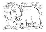 Elefante Olifant Elefant Kleurplaten Kea Aziatische Asiatico Malvorlagen Asiatischer Schoolplaten Schulbilder sketch template