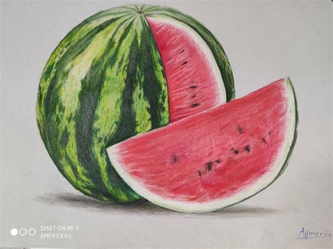 watermelon drawing  colored pencils rdrawing