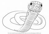 Mamba Draw Drawing Step Reptiles Animals Tutorials Drawingtutorials101 sketch template