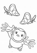 Curious Affe Curioso Neugierige Butterflies Stimulate Affen Neugierig sketch template
