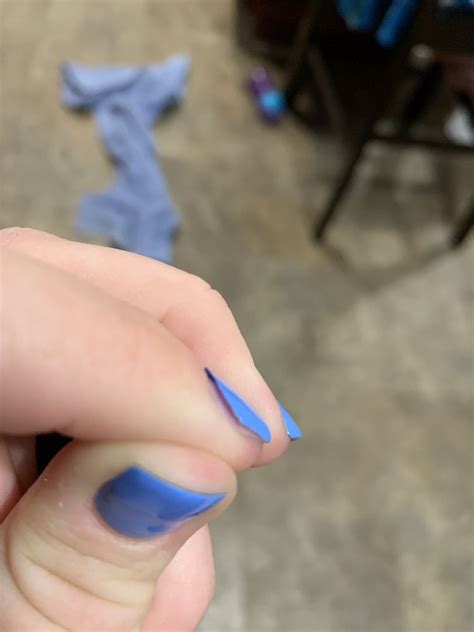 lady bug nails spa    reviews nail salons