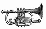 Trumpet Dibujos Trompetas Musicales Instrumentos Ilustraciones Trumpets sketch template