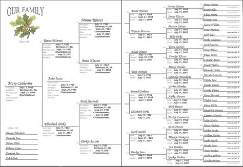 generation ancestral pedigree family tree chart acciones  papeles