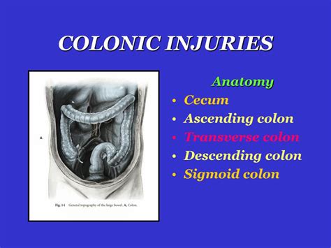 Ppt Colon And Rectum Injuries Powerpoint Presentation Free Download