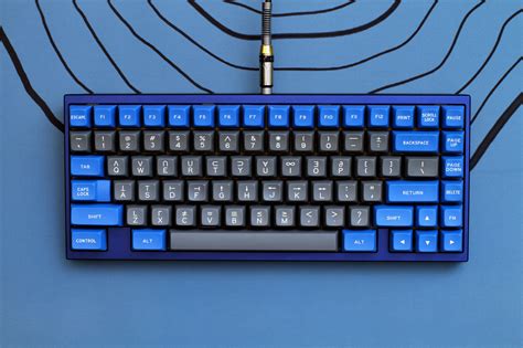 blue rmechanicalkeyboards
