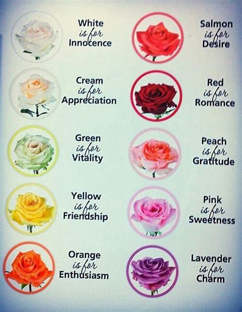 symbolism of roses rose color meanings flower meanings language of