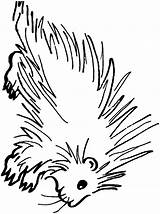 Porcupine Coloring Pages Color Animals Clipart Sheet Cliparts Dubois Library Clip Town Sketch Template sketch template