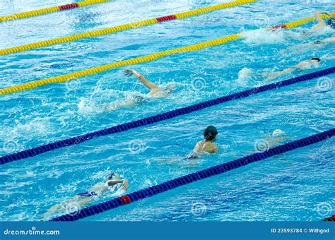 swimming race stock images image
