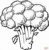 Broccoli sketch template