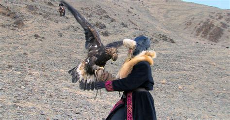 how an oklahoma woman learned to fly like an eagle in mongolia cbs news