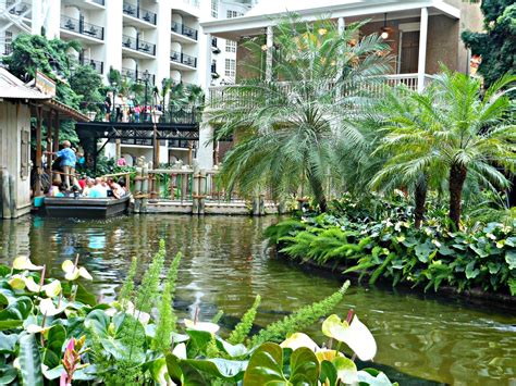 creek dont rise  gorgeous gaylord opryland hotel