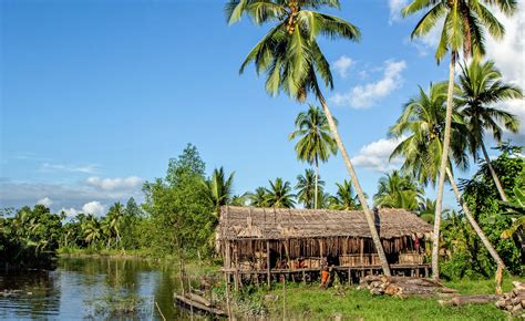 papua  guineas   natural resource management hub united