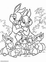 Coloriage Bunnies Lapin Imprimer Bambi Ami Devient Astucieux Coloriages sketch template