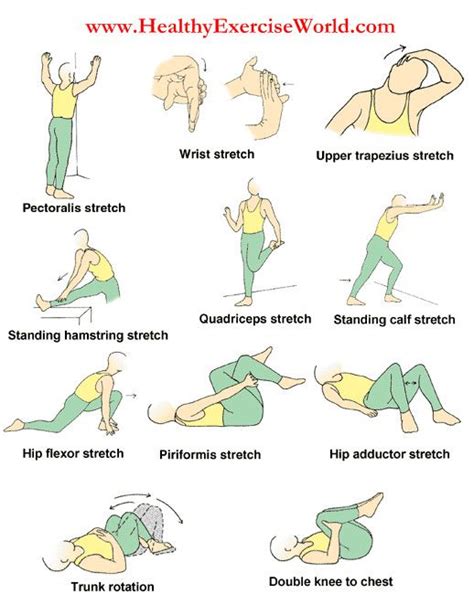 types  stretches physical therapy exercises arthritis exercises physical therapy
