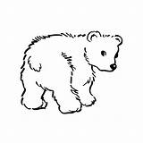 Coloring Animal Pages Printable Animals Color Sheets Bear Farm Tombstone Clipart Bears Baby Polar Cliparts Resources Zoo Colouring Book Popular sketch template