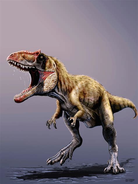 Newfound Giant Dinosaur Ruled Before T Rex