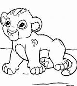 Coloring Pages Baby Animals Cute Color Cartoon Animal Sheets Colouring Print Lion Printable King Simba Kids Disney Characters Drawing Nala sketch template