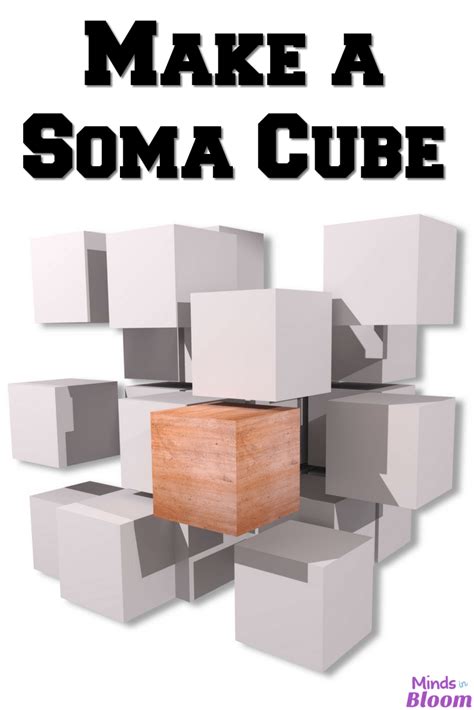 soma cube minds  bloom