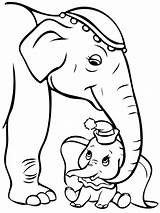 Dumbo Colorare Elefante sketch template