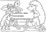 Coloring Porcupines Pages Book sketch template