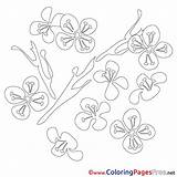 Coloring Spring Pages Nenuphar Sheet Title sketch template
