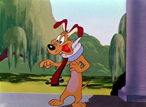 looney tunes pictures dog  south