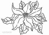 Poinsettia Coloring Christmas Getcolorings sketch template