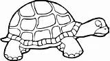 Turtle Tortoise Tortue Tortues Prek Clipartmag Coloringbay Bestappsforkids 1001 Migrate sketch template
