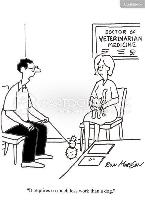 veterinarian medicine cartoons and comics funny pictures