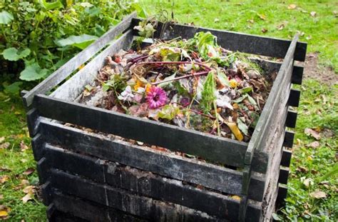 costruire una compostiera fai da te da giardino