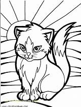 Coloring Cat Pages Kids Getcolorings Printable sketch template
