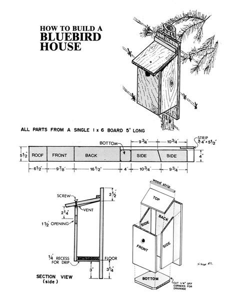 printable  printable bluebird house plans