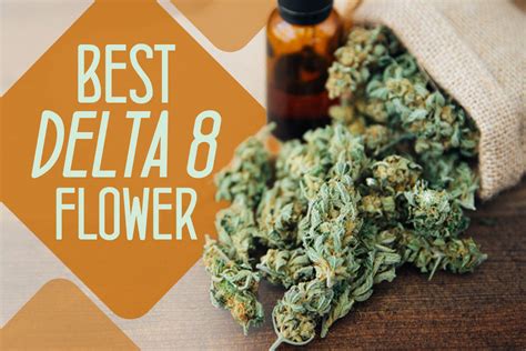 Best Delta 8 Flower Of 2022 Strongest Strains And Buds From Legit Thc