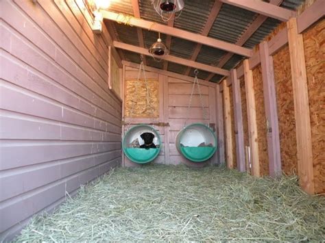 bed hay heat lamps  heated water heated dog house dog kennel  dogs