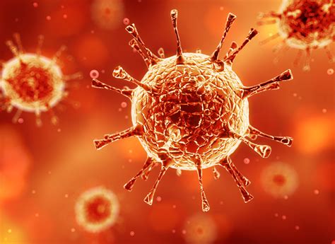 hivaids symptoms signs  virus infection transmission