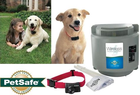 petsafe wireless pet containment system pif  home