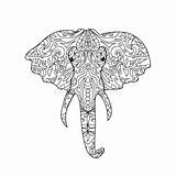 Elephant Zentangle Coloring Head Illustration sketch template