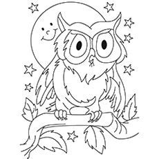 elf owl coloring pages  elf owl pictures art pinterest owl