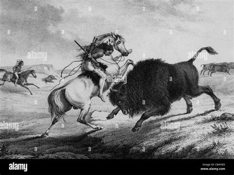 american indian man  horseback killing bison stock photo royalty