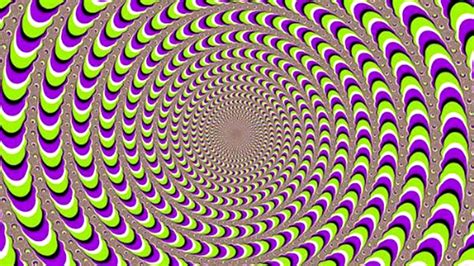 brain   humans      optical illusions biology