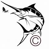 Marlin Blue Coloring Pages Fish Clipart Outline Clip Para Drawings Tribal Cliparts Vector Pesca Pez Peces Swordfish Drawing Library Resultado sketch template